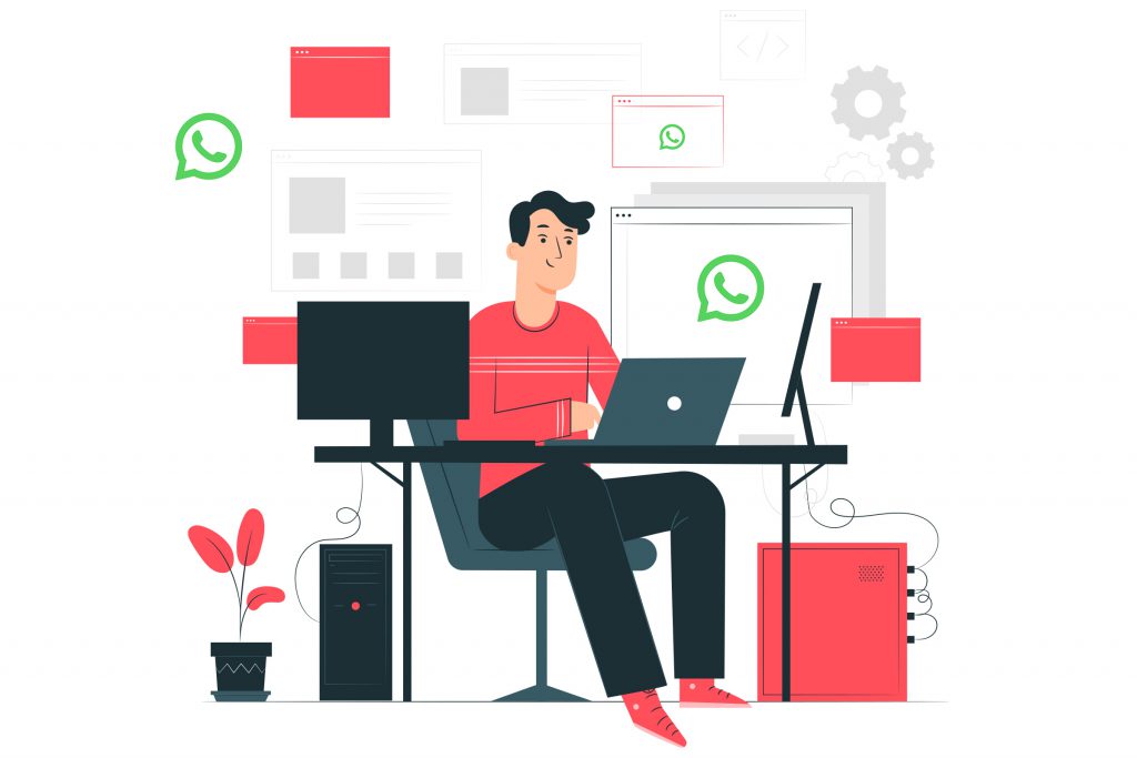 WhatsApp Business API Developer